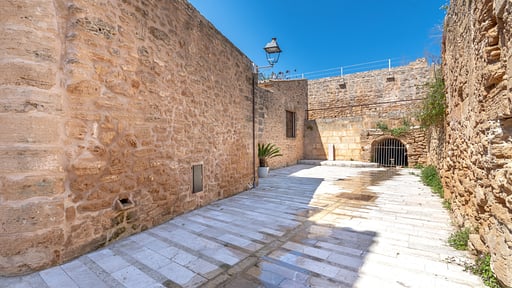 Villa Ca Na Serrieta Others