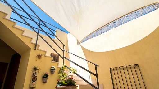 Ca Na Velutina Others