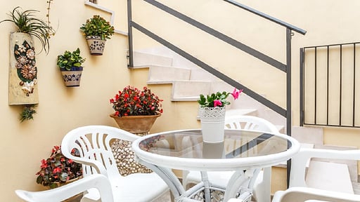 Ca Na Velutina Others