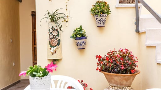 Ca Na Velutina Others