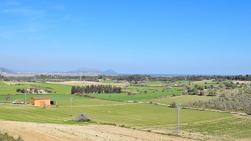 Casa Ses Nines Surroundings