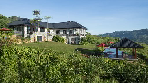 Camellia Hills Villa Swimming pool