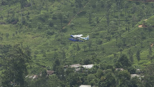 Camellia Hills Villa Others