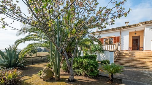 Finca Can Mussol Others