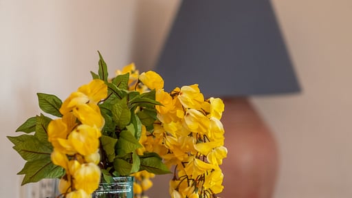 Finca Can Mussol Others