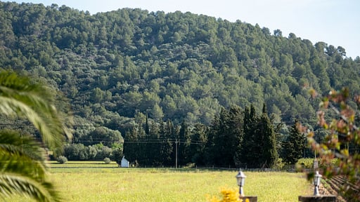 Finca Can Mussol Surroundings