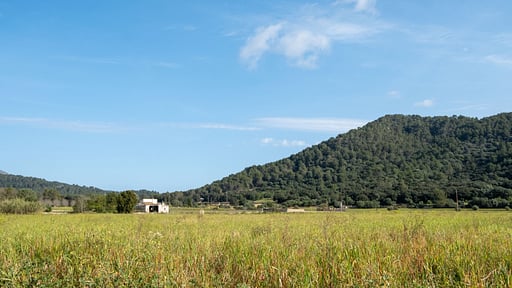 Finca Can Mussol Surroundings