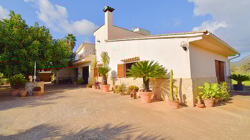 Can Nina Прочее