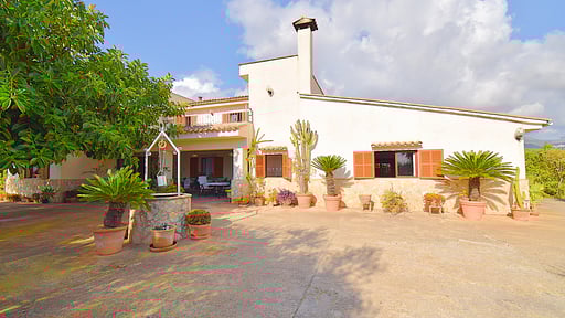 Can Nina Прочее