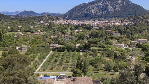 Can Punche Nico Autres