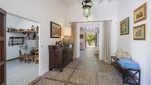 Can Punche Nico Autres