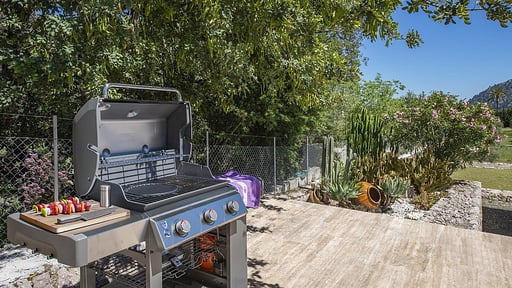 Can Punche Nico Autres