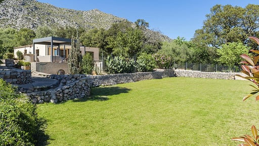 Can Punche Nico Autres