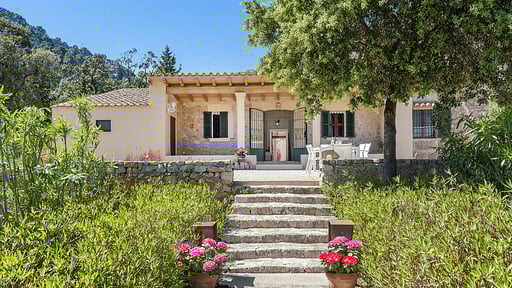 Can Punche Nico Autres