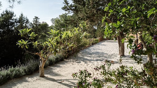 Can Xarraca Garden
