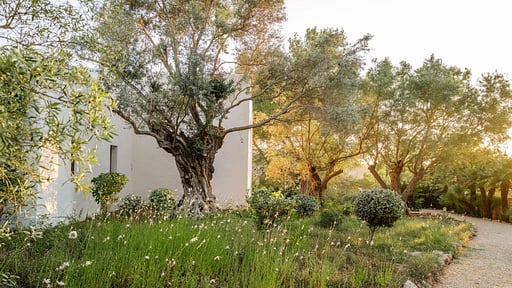 Can Xarraca Garden