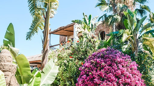 Villa Cana Celeste Andere