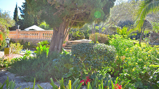 Finca Mercedes Garden