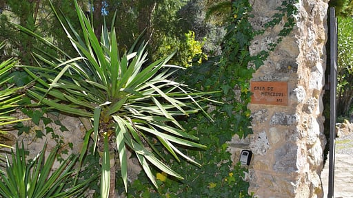 Finca Mercedes Garden