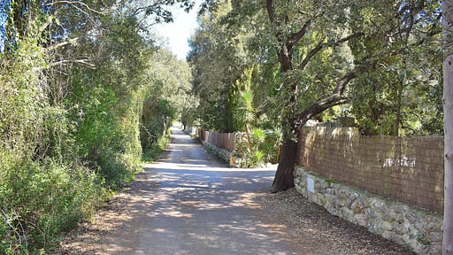 Finca Mercedes Garden