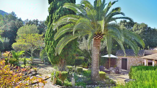 Finca Mercedes Garden