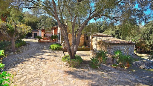 Finca Mercedes Garden