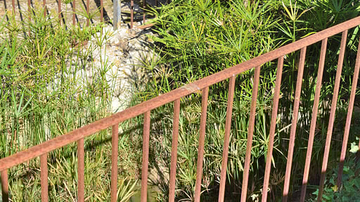 Finca Mercedes Garden