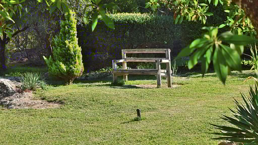 Finca Mercedes Garden