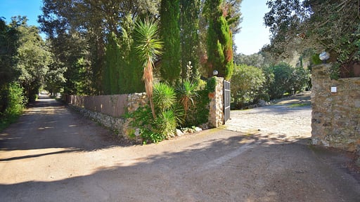 Finca Mercedes Garden