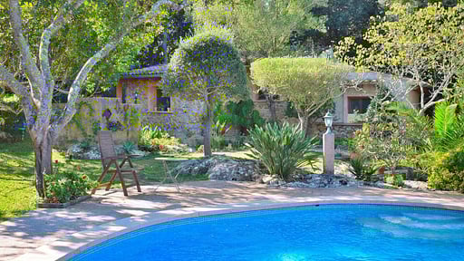 Finca Mercedes Swimming pool
