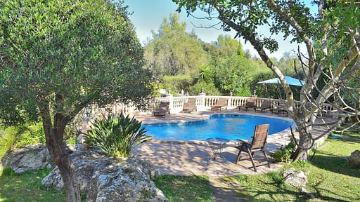 Finca Mercedes Swimming pool