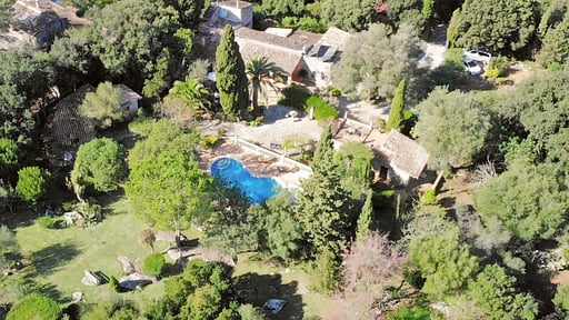 Finca Mercedes Drone pictures