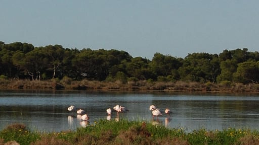 Casa Dei Lentischi Umgebung