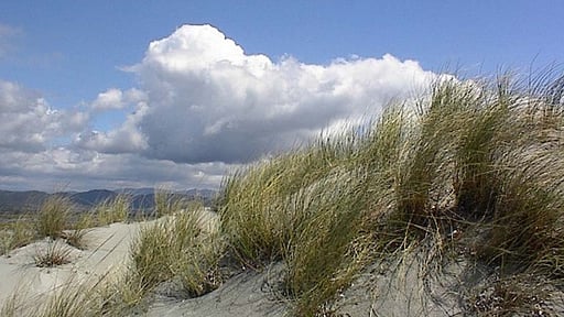 Casa Dei Lentischi Umgebung