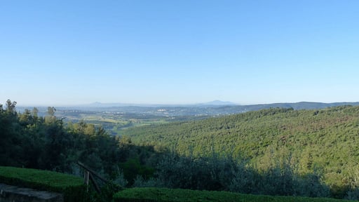 Casa del Medico Garden
