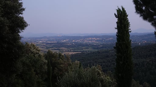Casa del Medico Garden