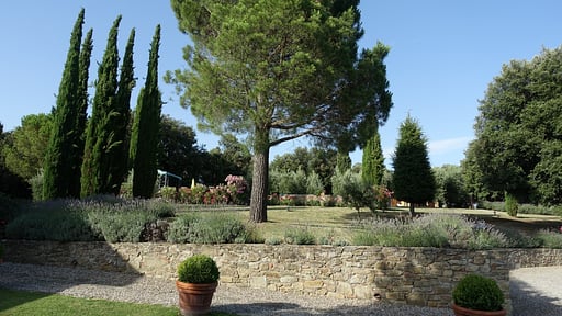 Casa del Medico Garden