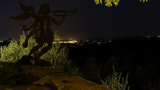 Casa del Medico Garden