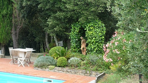 Casa del Medico Swimming pool