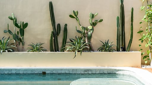 Villa Casa Del Sol Swimming pool