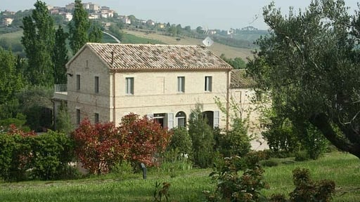 Casa Della Musica Others