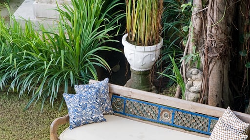 Casa Evaliza Others