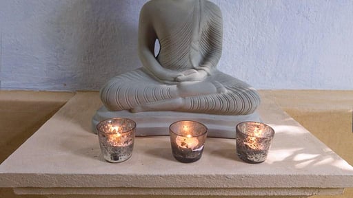 Casa Heliconia Others