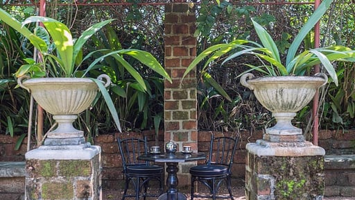 Casa Heliconia Others