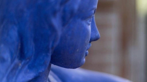 Casa Heliconia Others