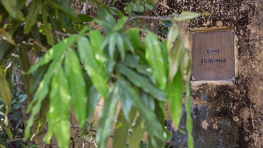 Casa Heliconia Others