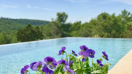 Casa Jade Swimming pool 2