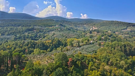 Casa Livia Surroundings