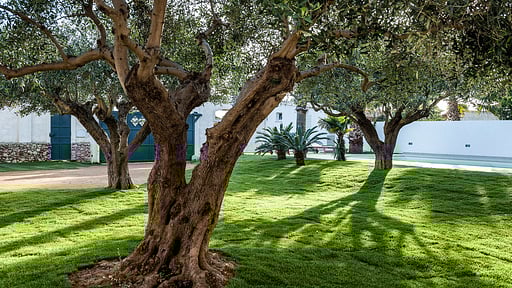 Casa Marsala 1 Garden