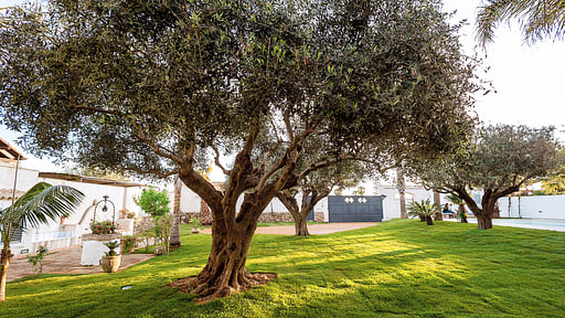 Casa Marsala 1 Garden